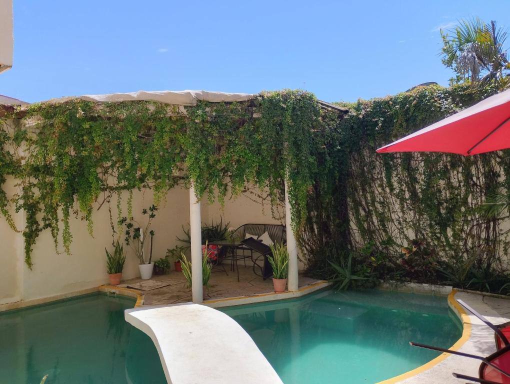 Bed and Breakfast Pecari: Facility photos