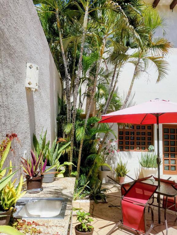 Bed and Breakfast Pecari: Property views