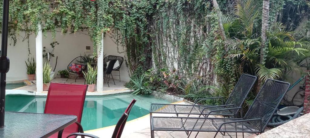 Bed and Breakfast Pecari: Swimming pool