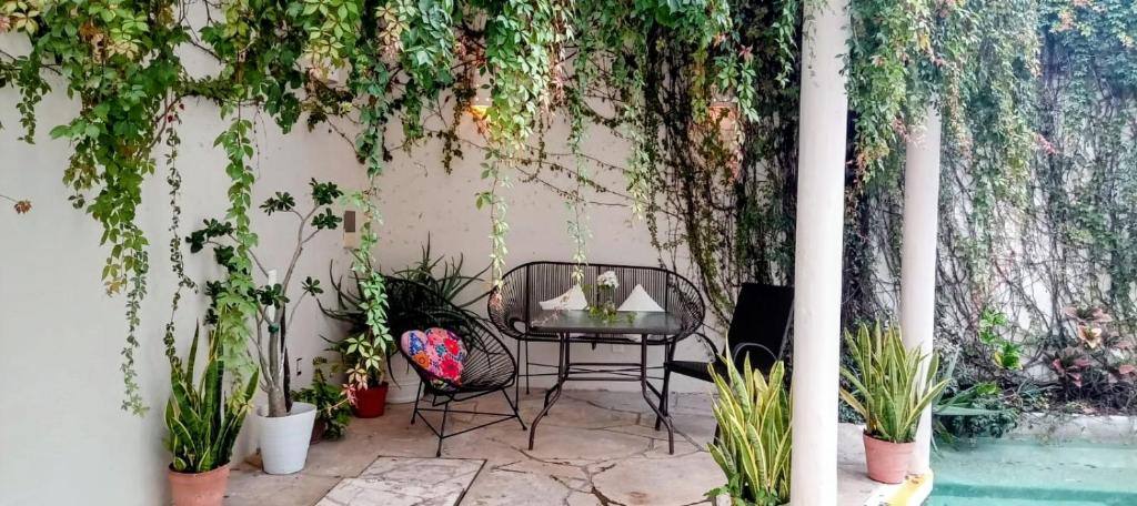 Bed and Breakfast Pecari: Swimming pool