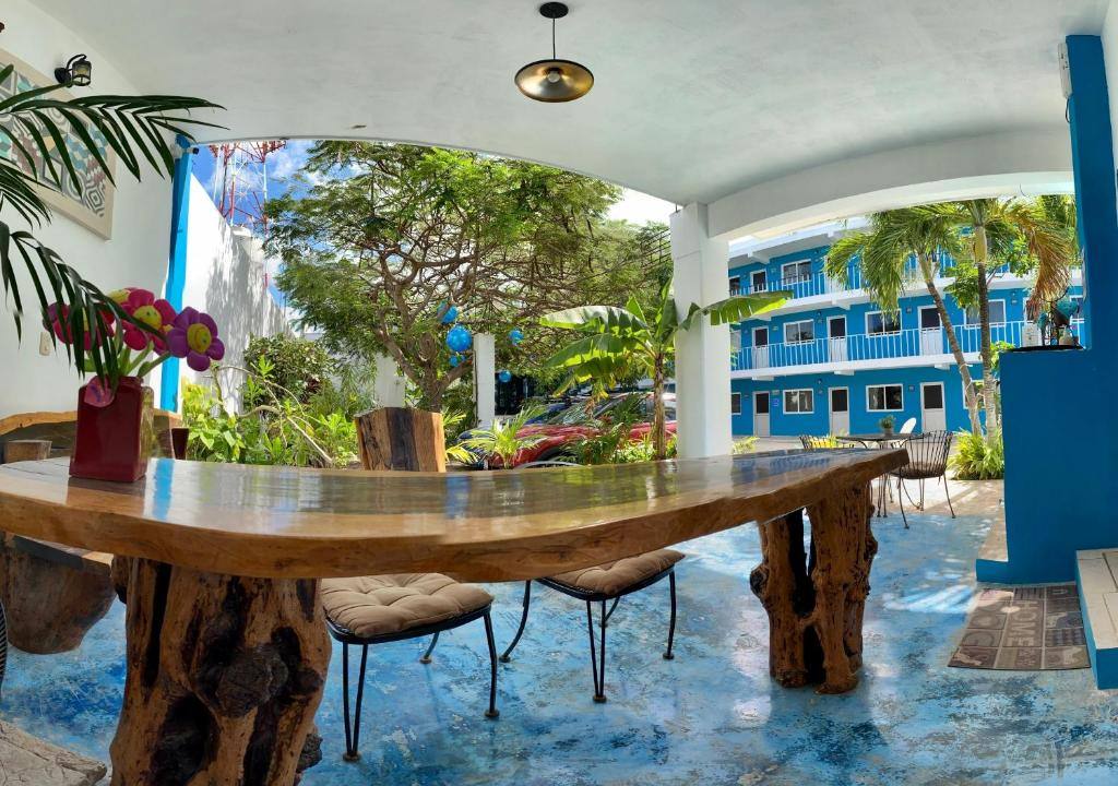 Blue Coconut Cancún Hotel: View