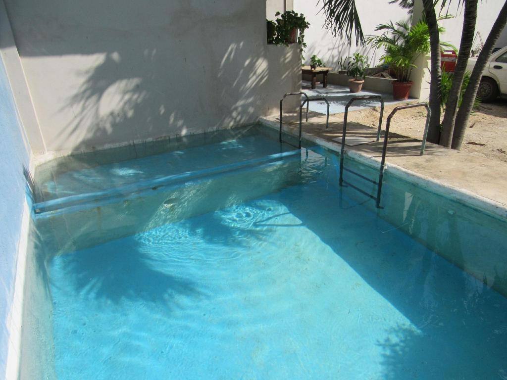 Blue Coconut Cancún Hotel: Facility photos