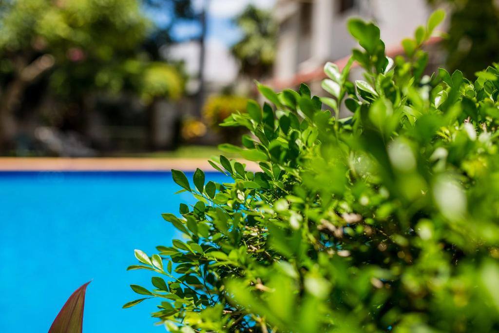 Casa Blanca Boutique & Organic: Swimming pool