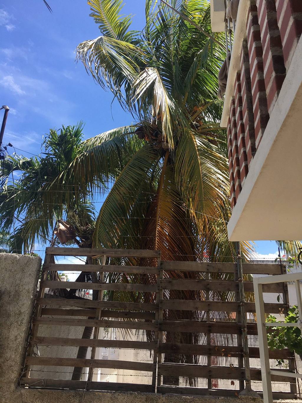 Casa Wayak: photo 6