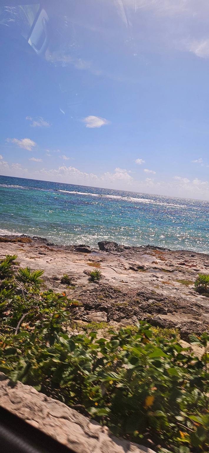 Club Med Cancun: photo 4