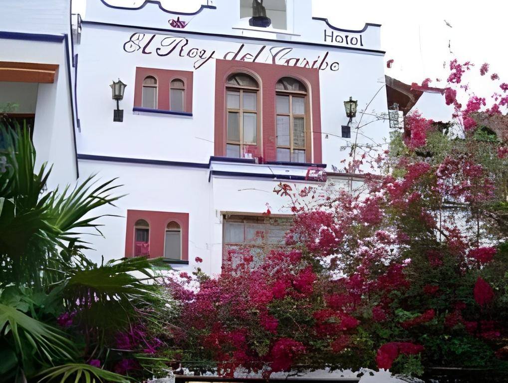 Eco-Hotel El Rey Del Caribe: Exterior view
