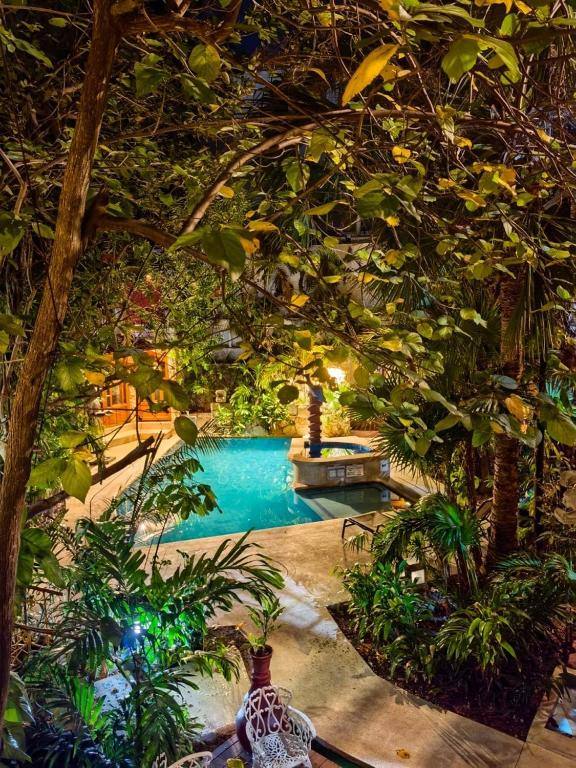Eco-Hotel El Rey Del Caribe: Garden