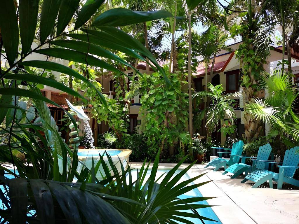 Eco-Hotel El Rey Del Caribe: Property views