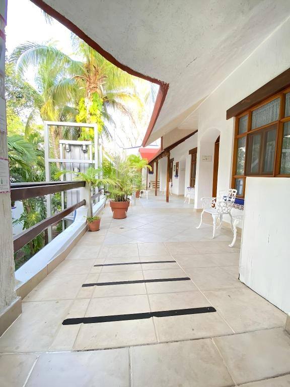 Eco-Hotel El Rey Del Caribe: Facility photos
