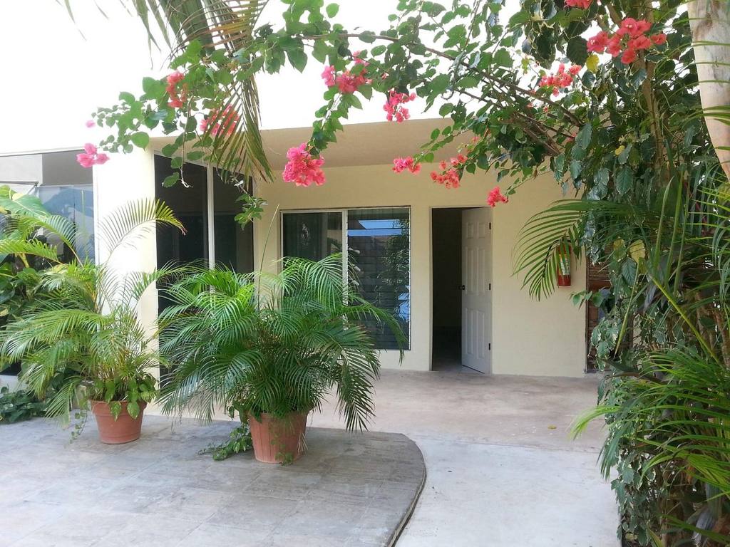 Hostel el Meson de Tulum: photo 3