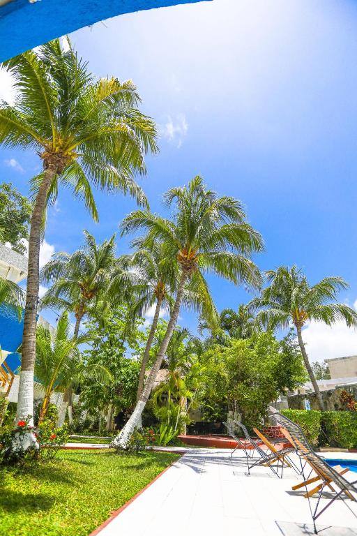 Hotel Caribe Internacional: View