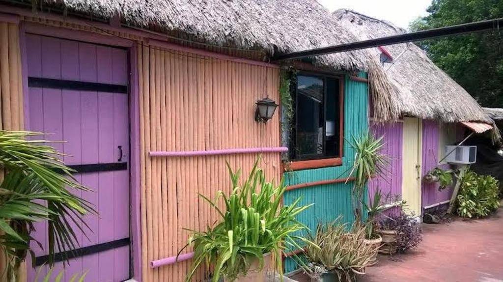 Mayan Hostel Cancun: Room photos