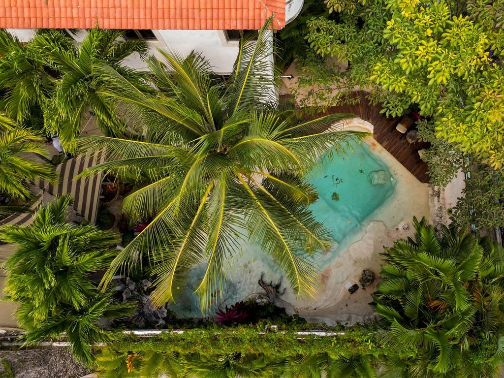 Mezcal Boutique Hotel: photo 1