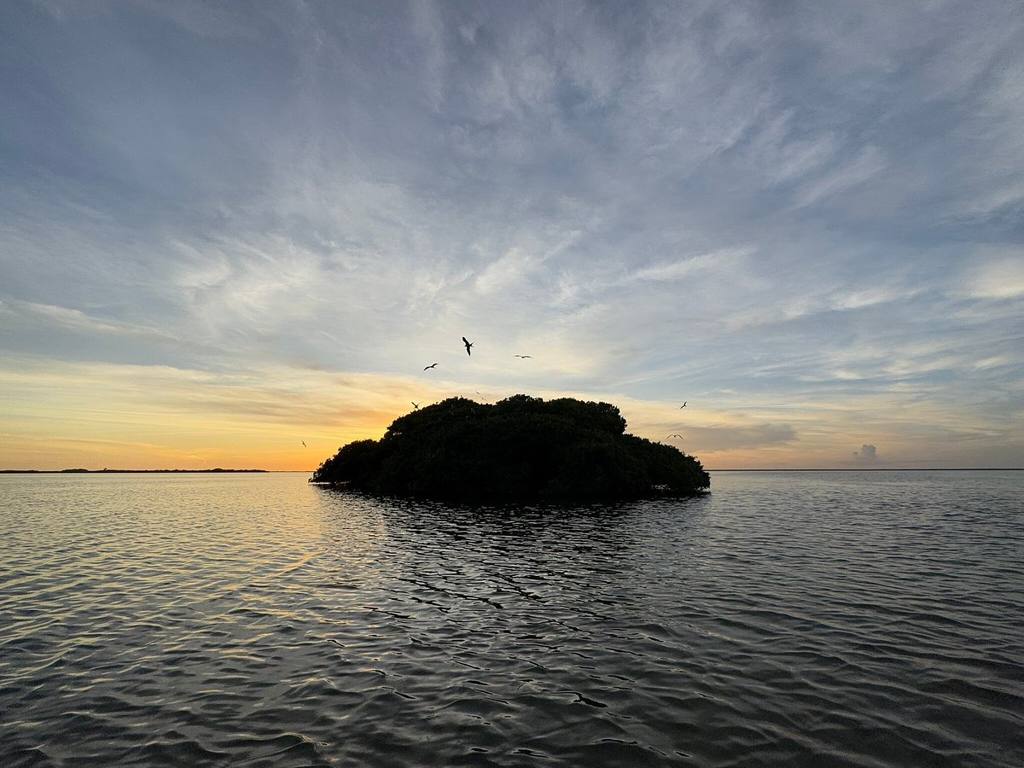 Punta Allen: photo 2