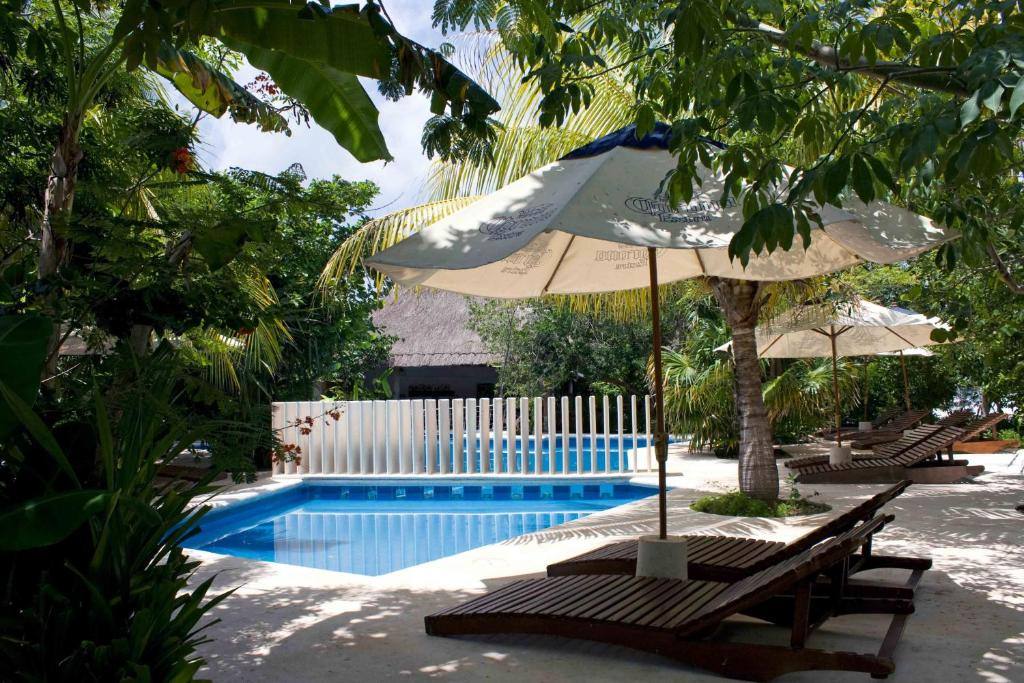 Sotavento Hotel & Yacht Club: Swimming pool