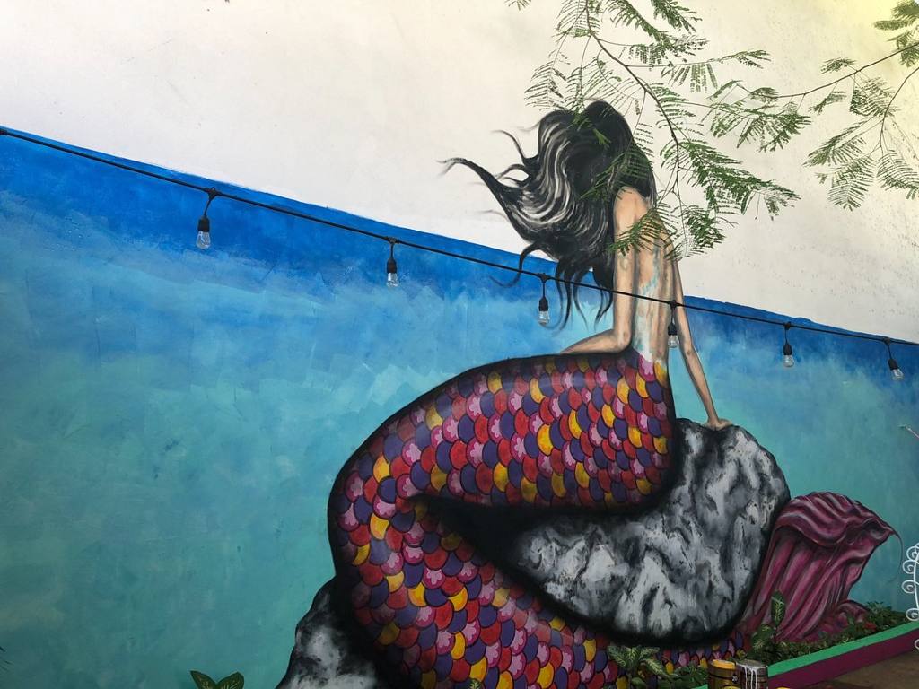 The Mermaid Hostel Downtown: photo 3