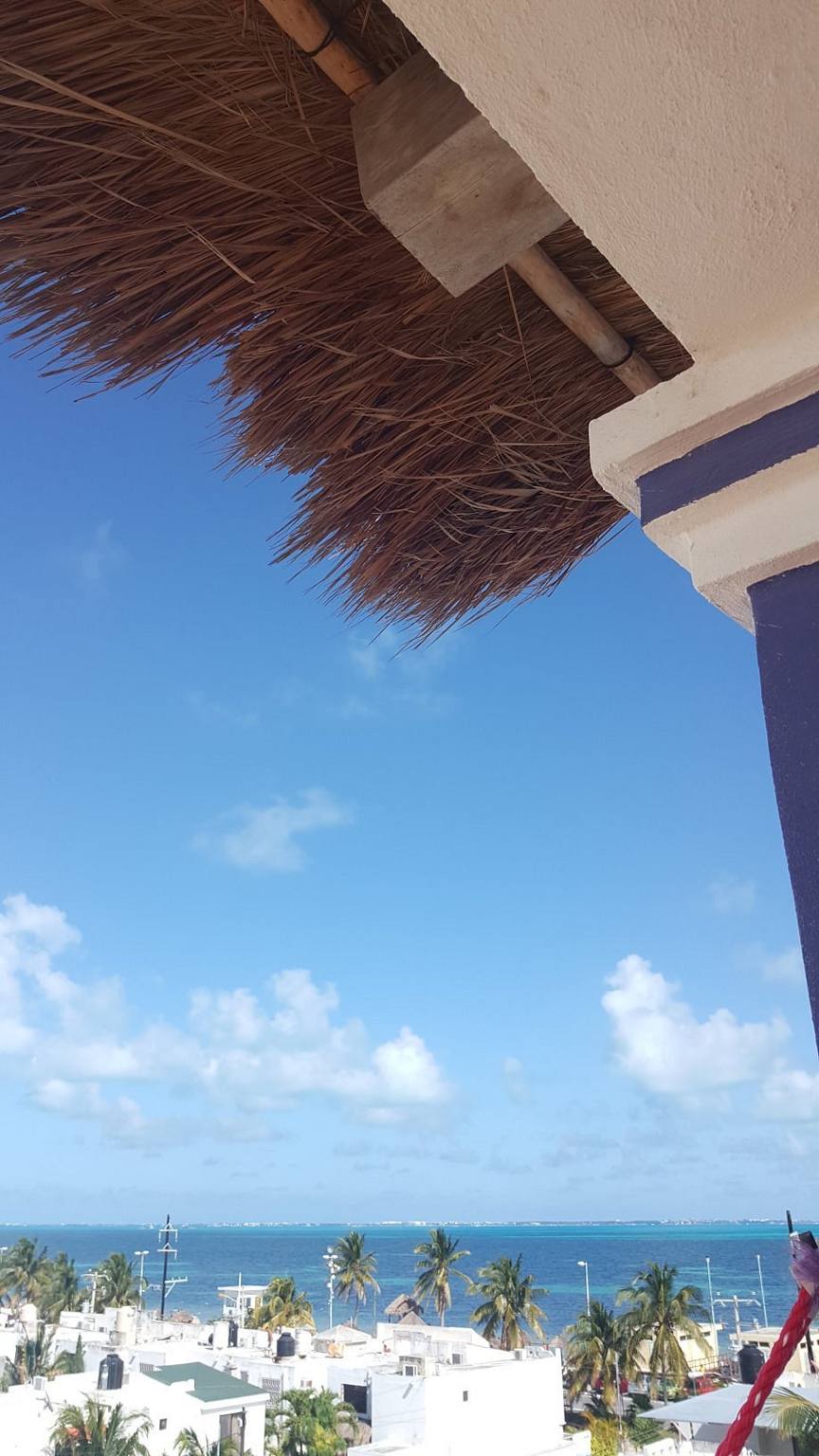 The Mermaid Hostel: photo 7