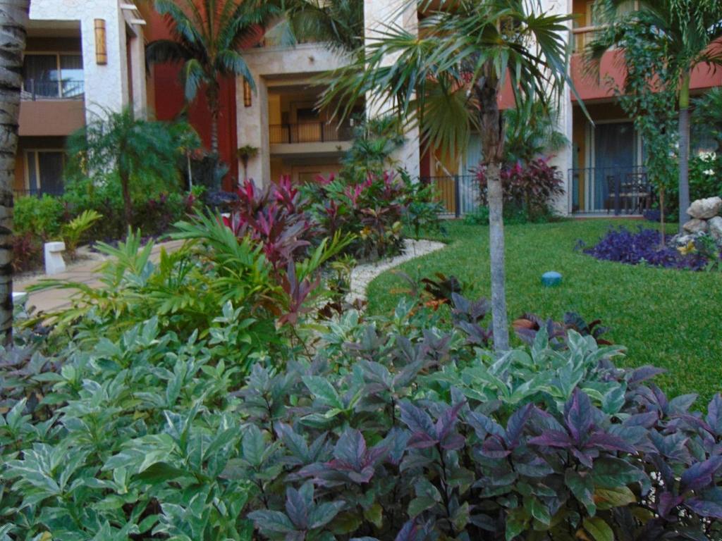 Villas Del Mar Hostel: photo 7