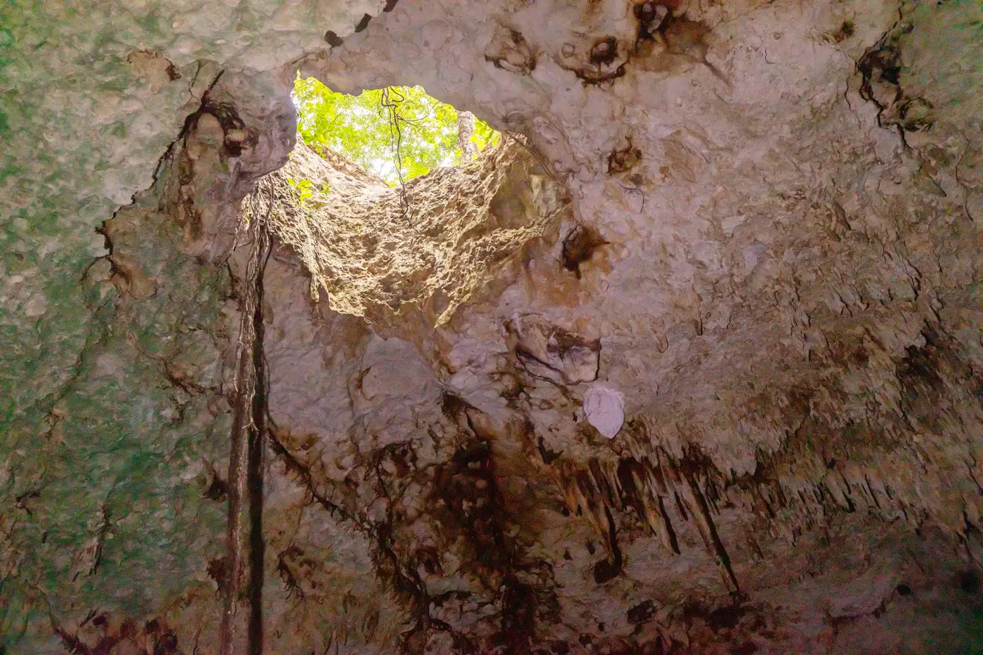 Divers in the clear water of Cenote Dos Ojos