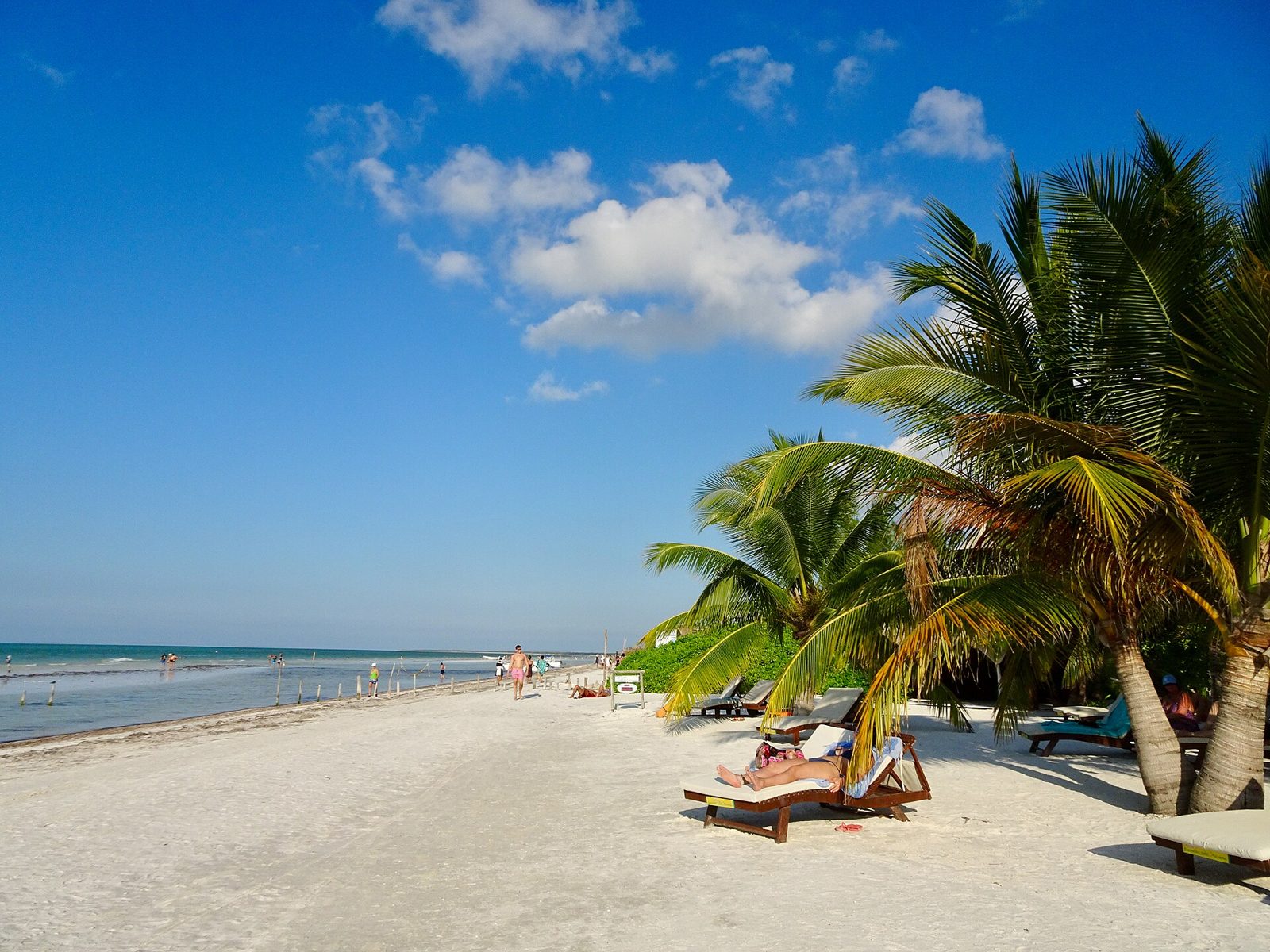 A beach on Isla Holbox