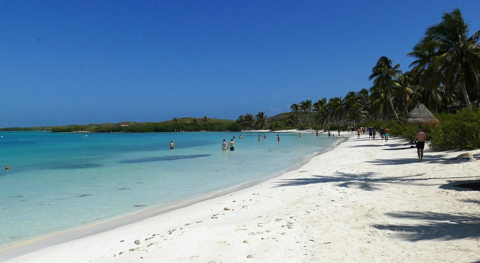 Isla Contoy bird sanctuary