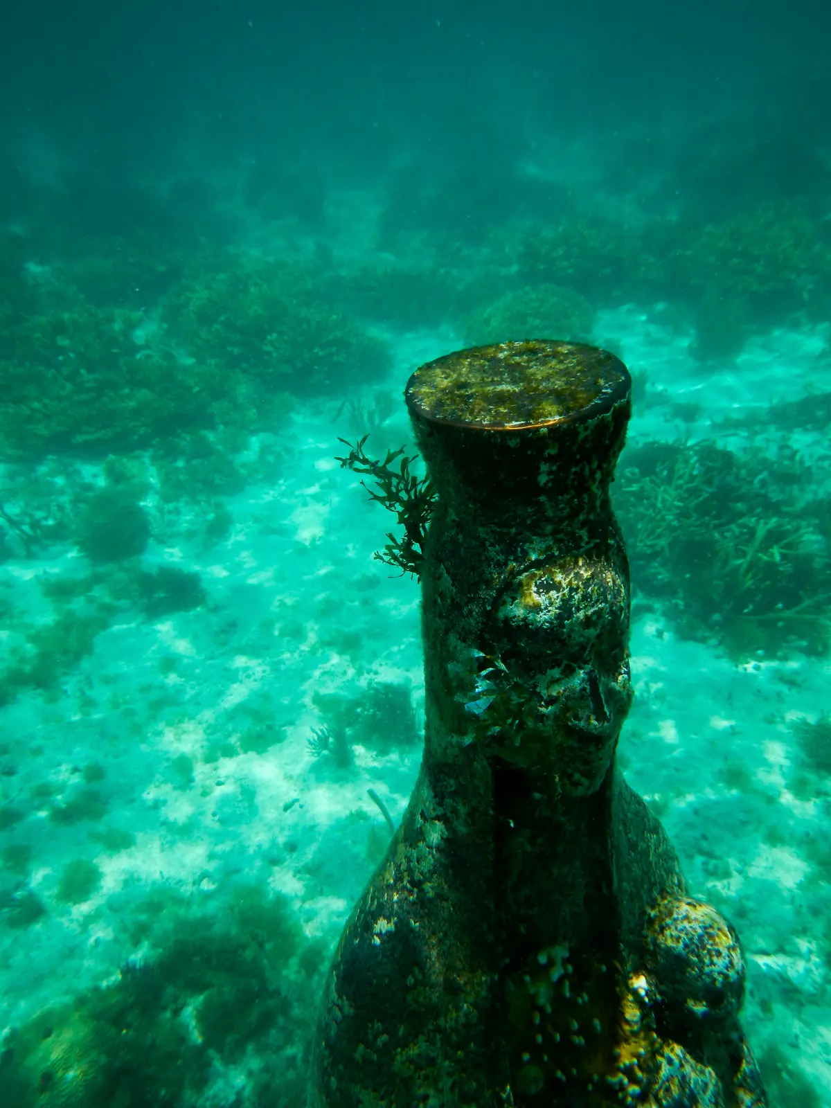 Sculptures with raised arms at the MUSA underwater museum