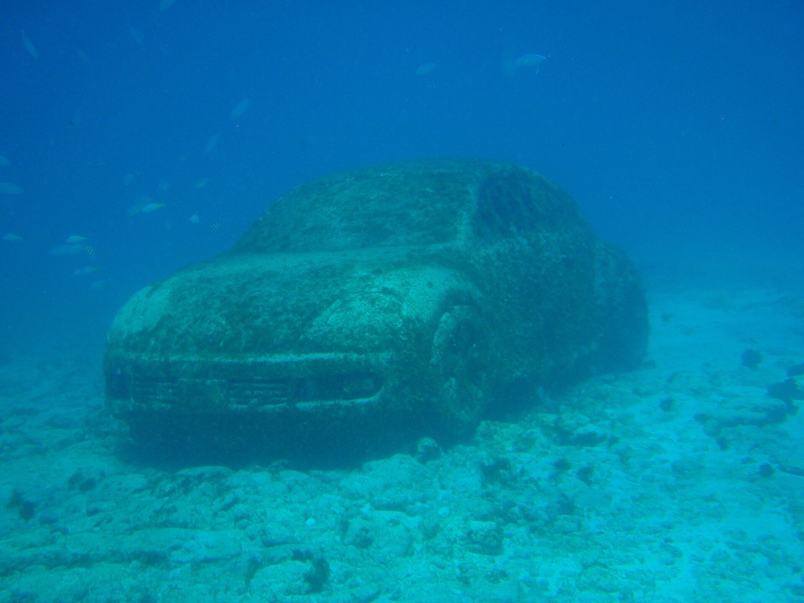 A sculpture at MUSA underwater museum